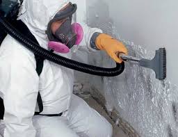 Best Industrial Mold Remediation  in Franklin, NH